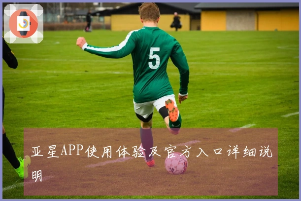 亚星APP使用体验及官方入口详细说明