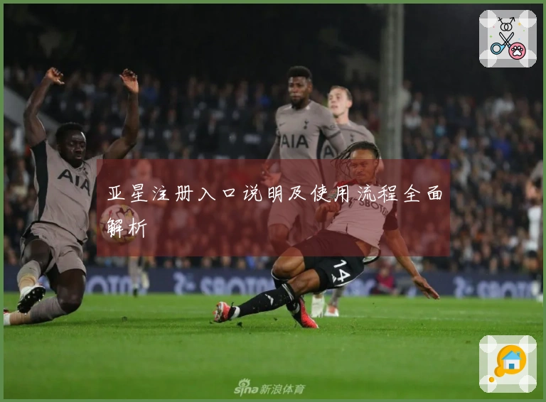 亚星注册入口说明及使用流程全面解析