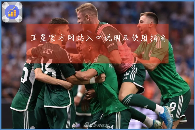 亚星官方网站入口说明及使用指南