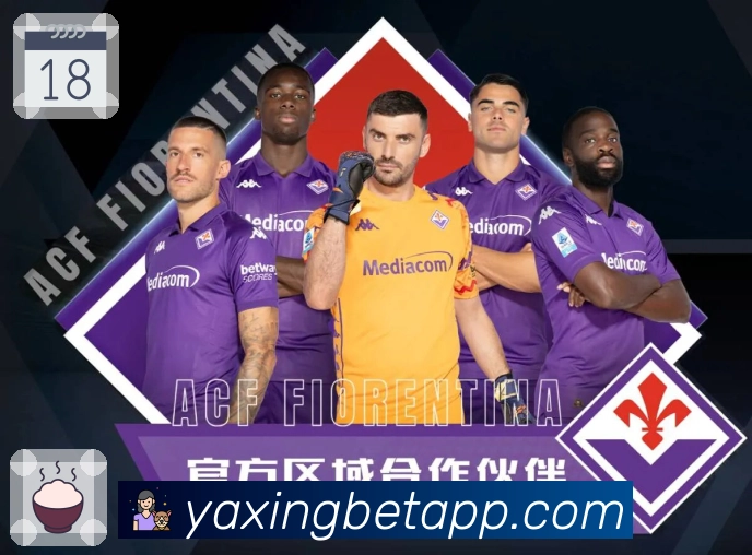 亚星官方网站入口说明及使用指南